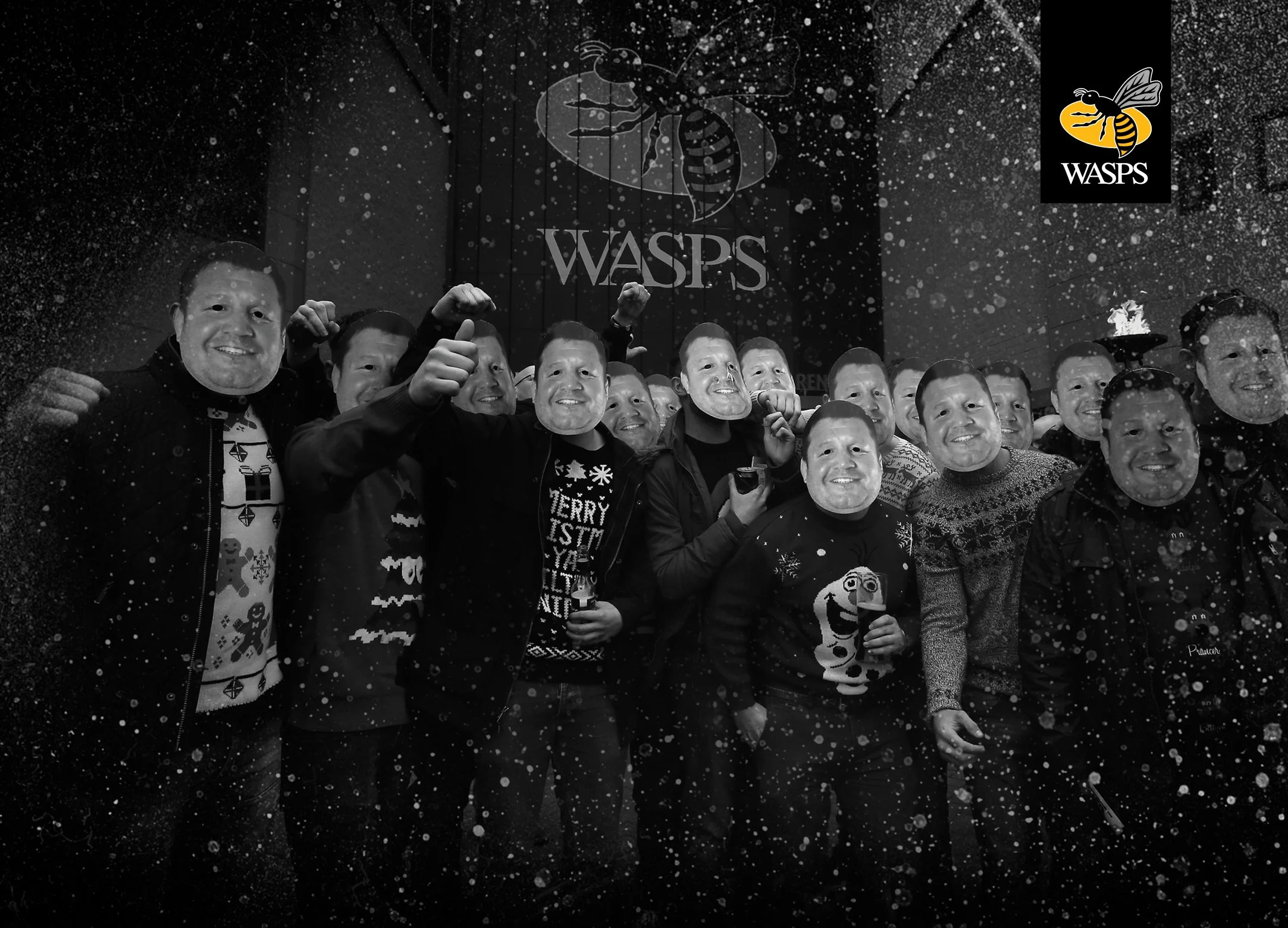 WASPS Brochure11.jpg