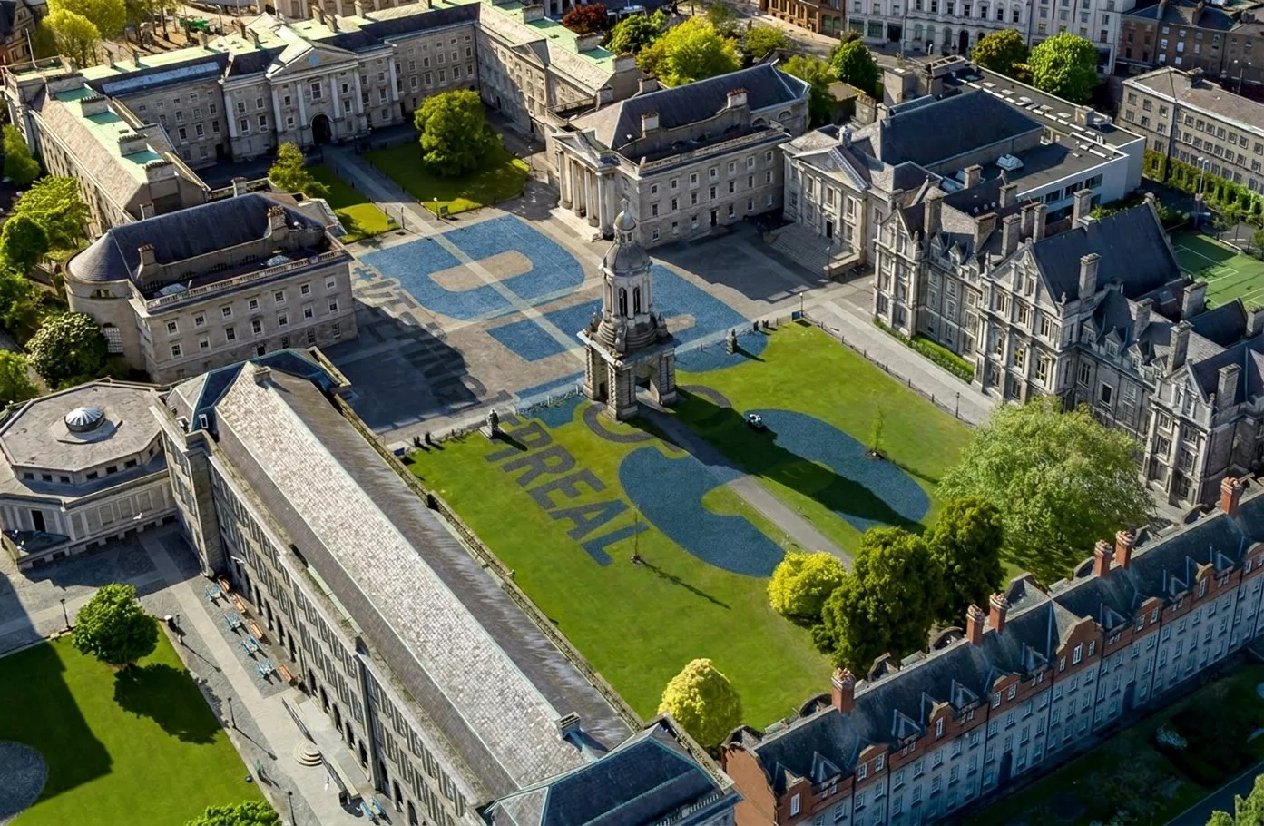 TCD Animal Situ Aerial copy.jpg