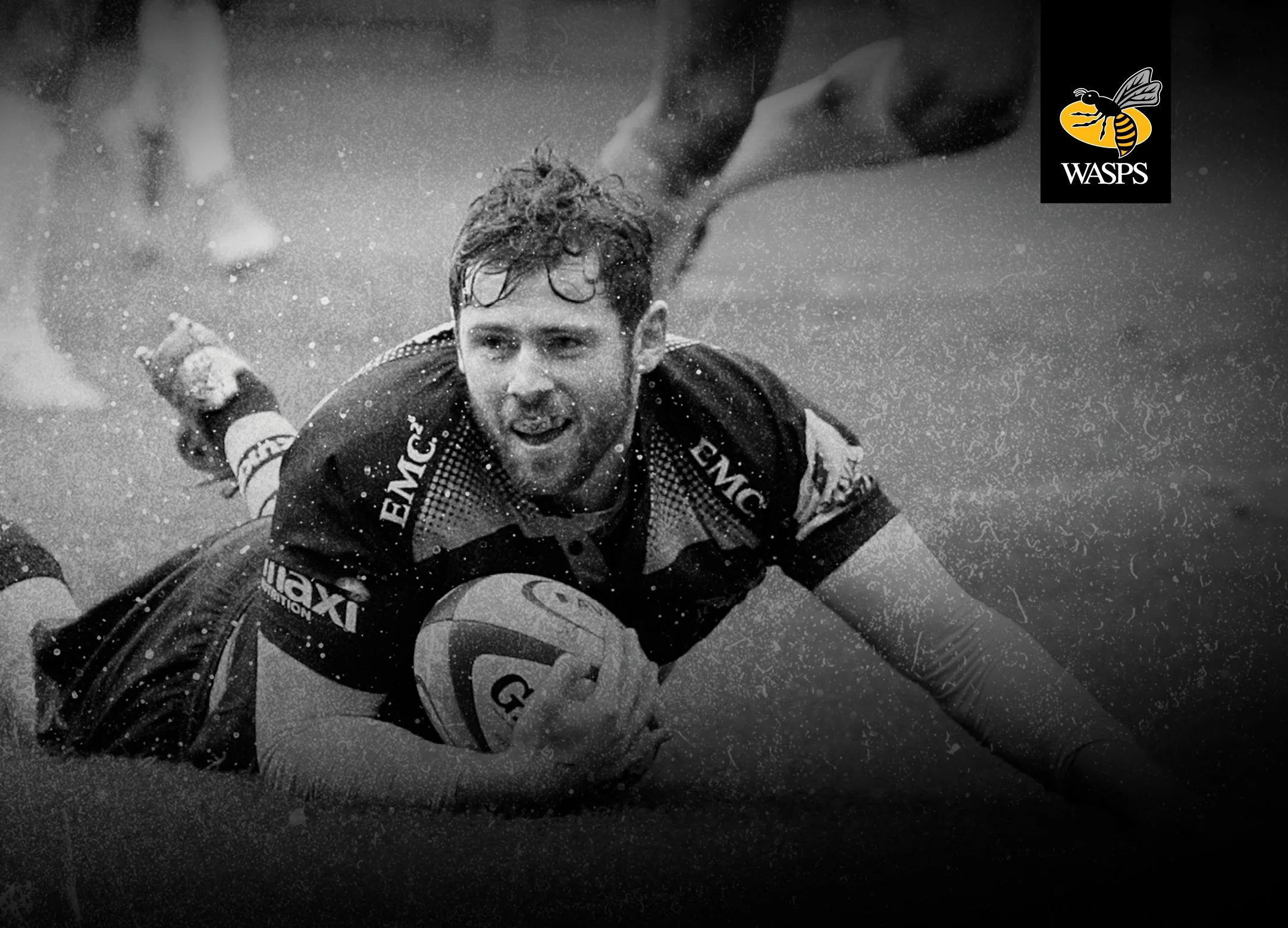 WASPS Brochure29.jpg