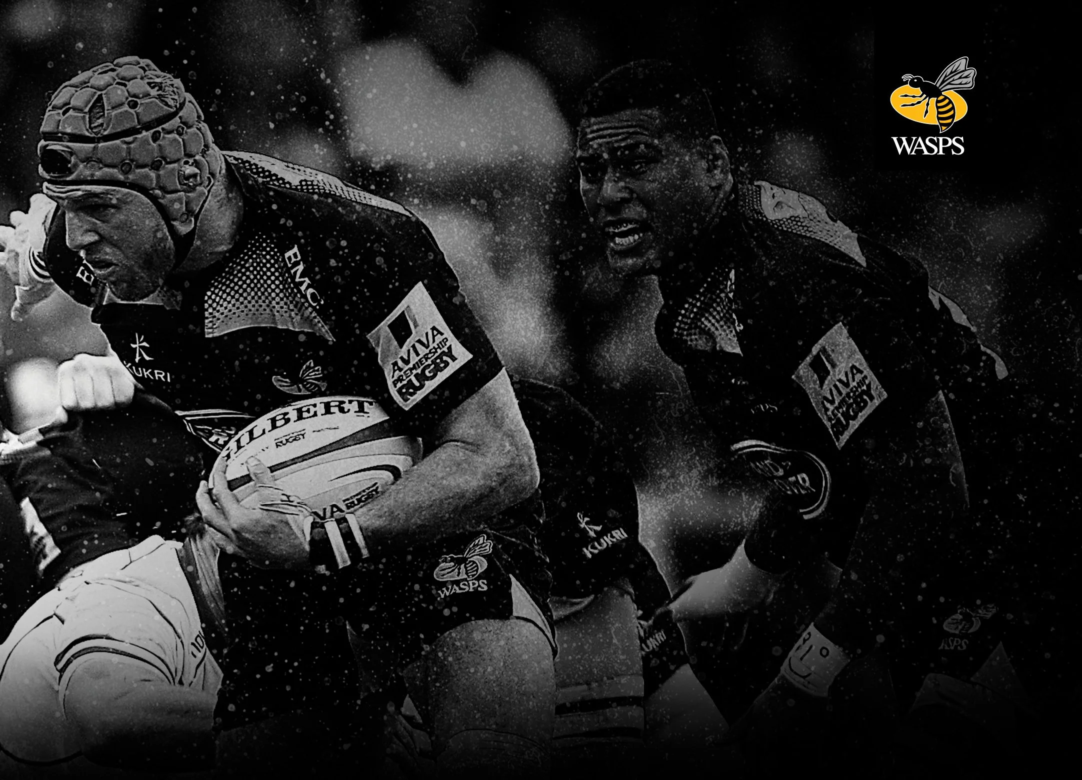 WASPS Brochure15.jpg