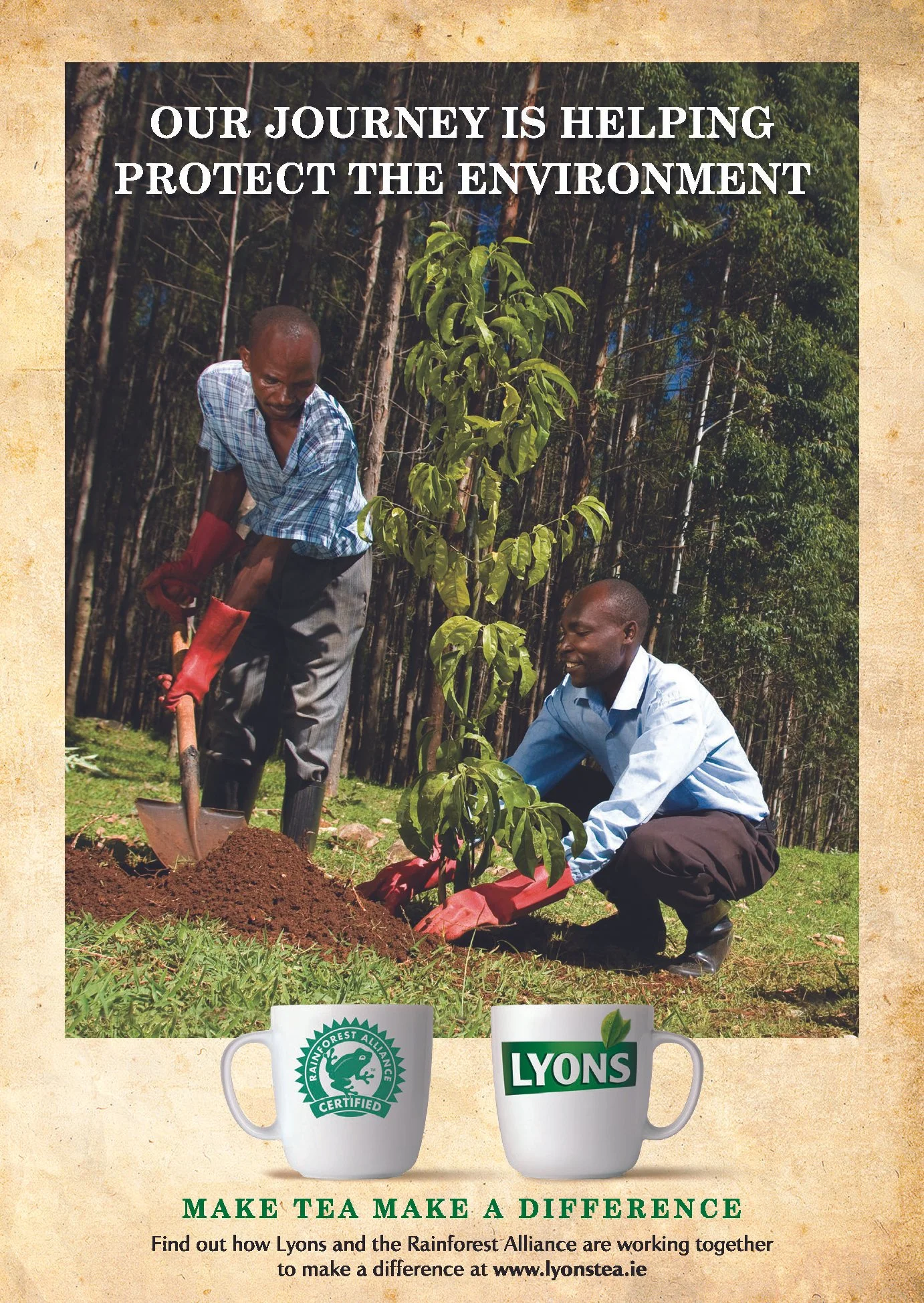 Lyons Tea 5.jpg