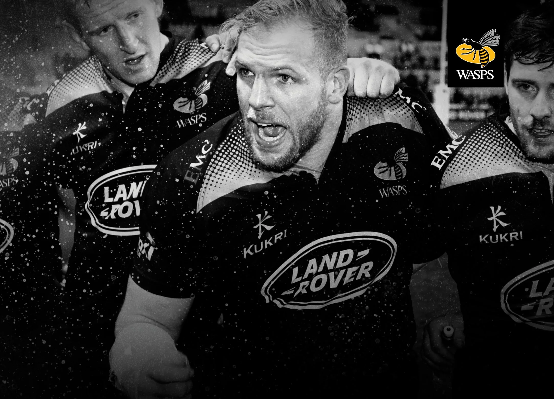WASPS Brochure17.jpg