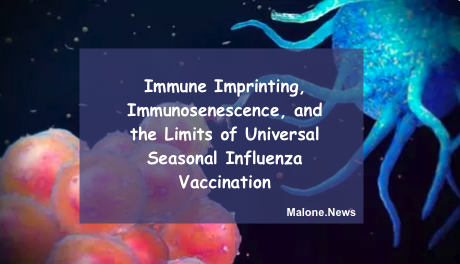 Immune Imprinting, Immunosenescence, and the Limits of Universal Seasonal Influenza Vaccination