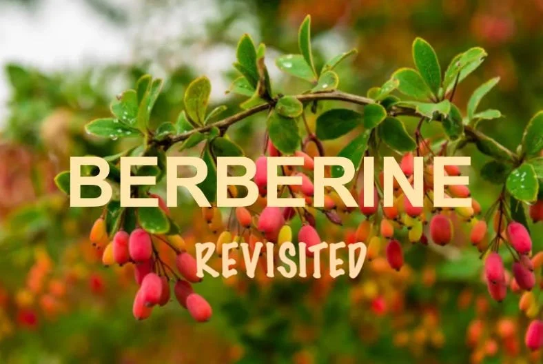 Well Being: Berberine Revisited