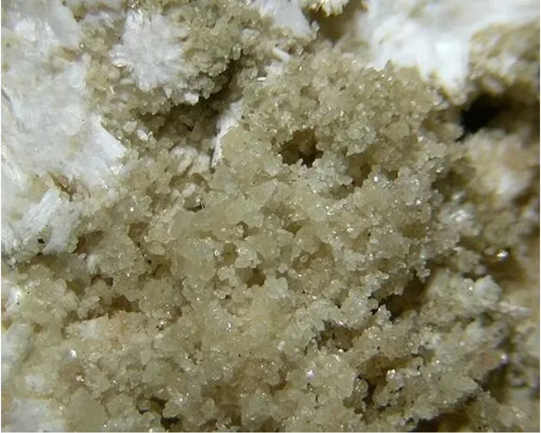 Vaccines and Adjuvants: Aluminum