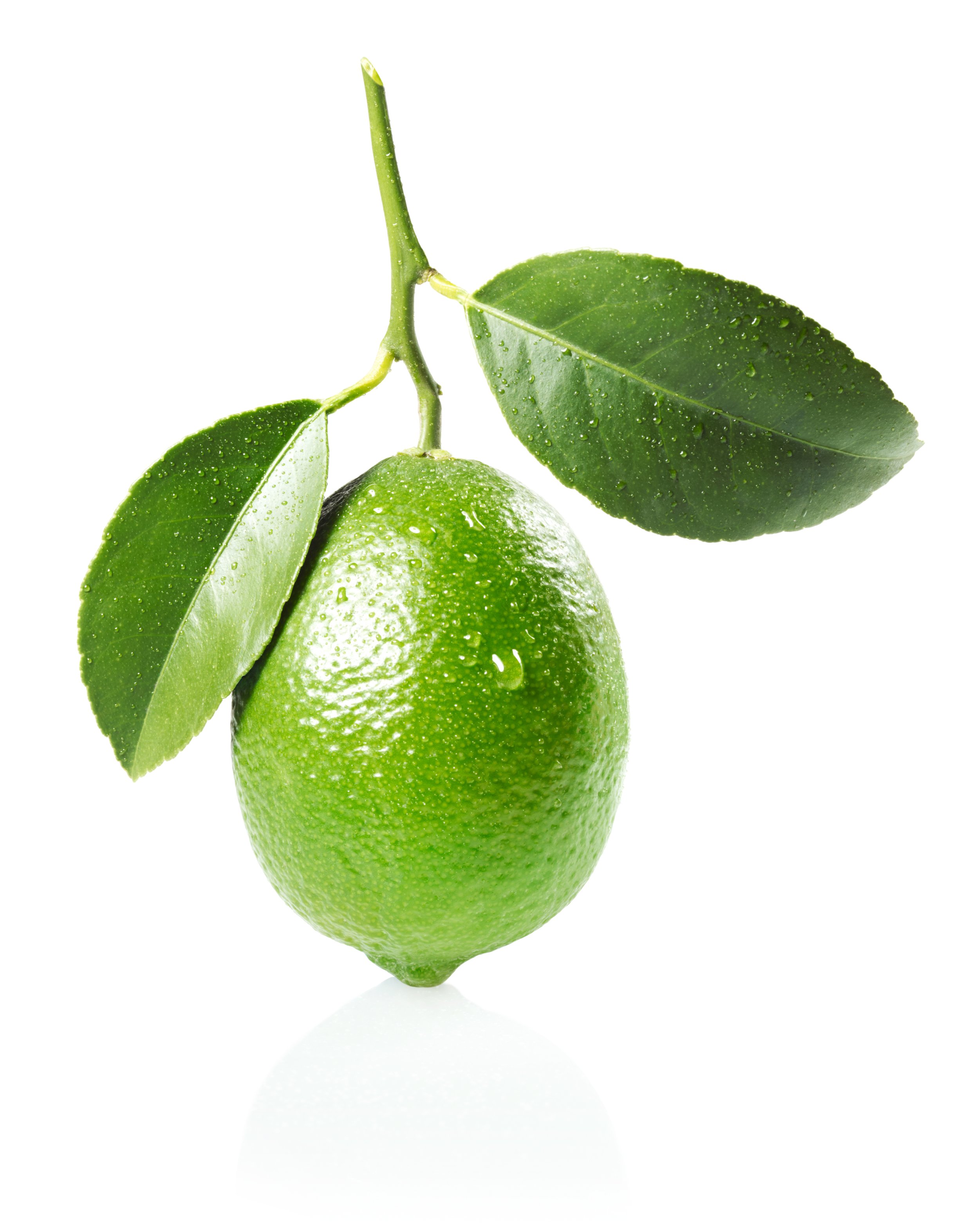 16.lime_01.jpg