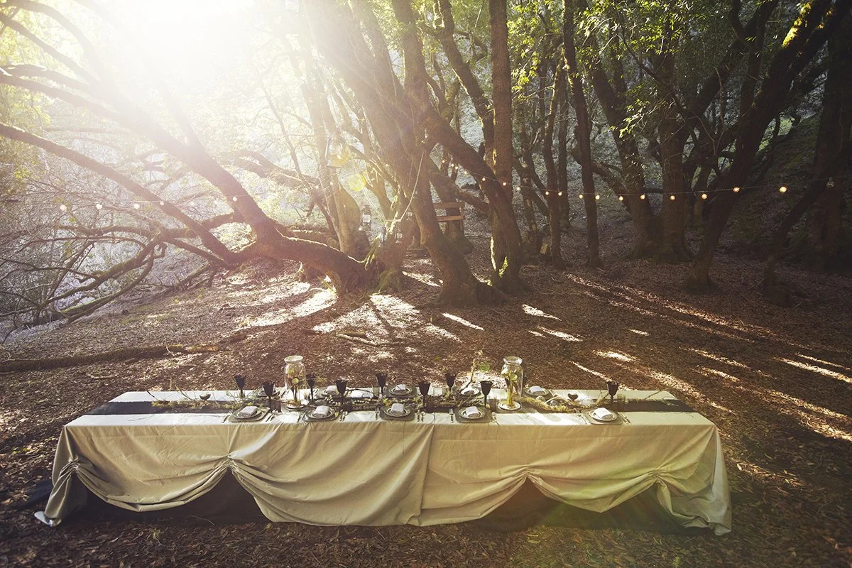 co-concept ideation, florals, props