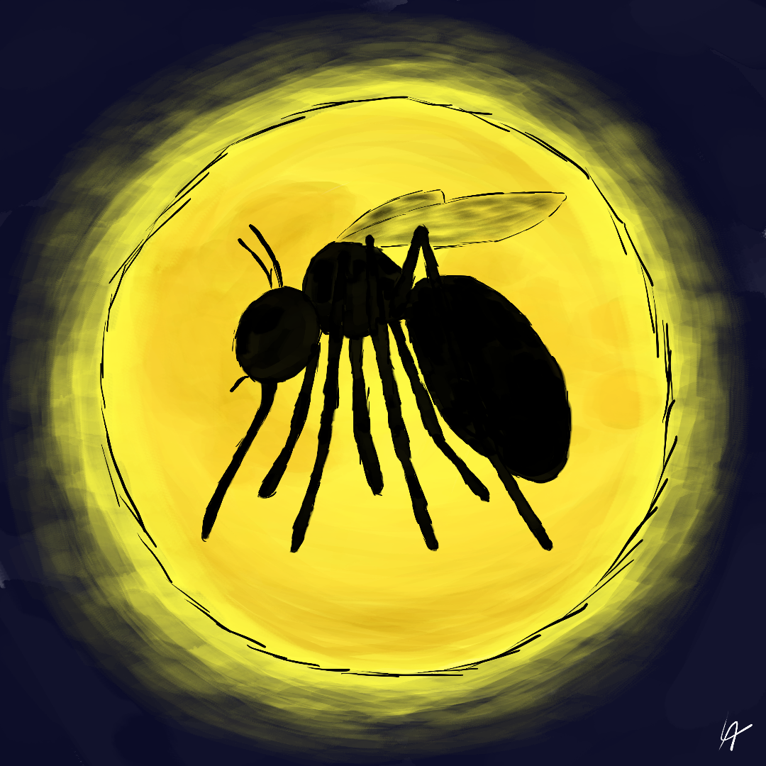 Mit dem Rücken zum Licht.