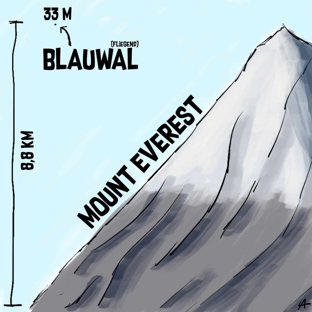 Größenvergleich_MountEverest.png