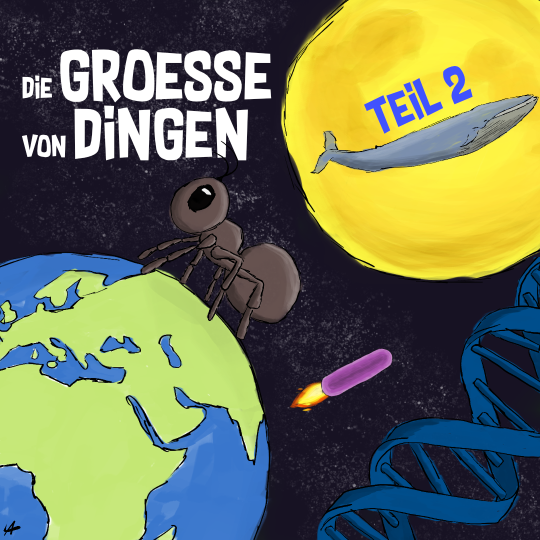 Die Größe von Dingen. (2/2)