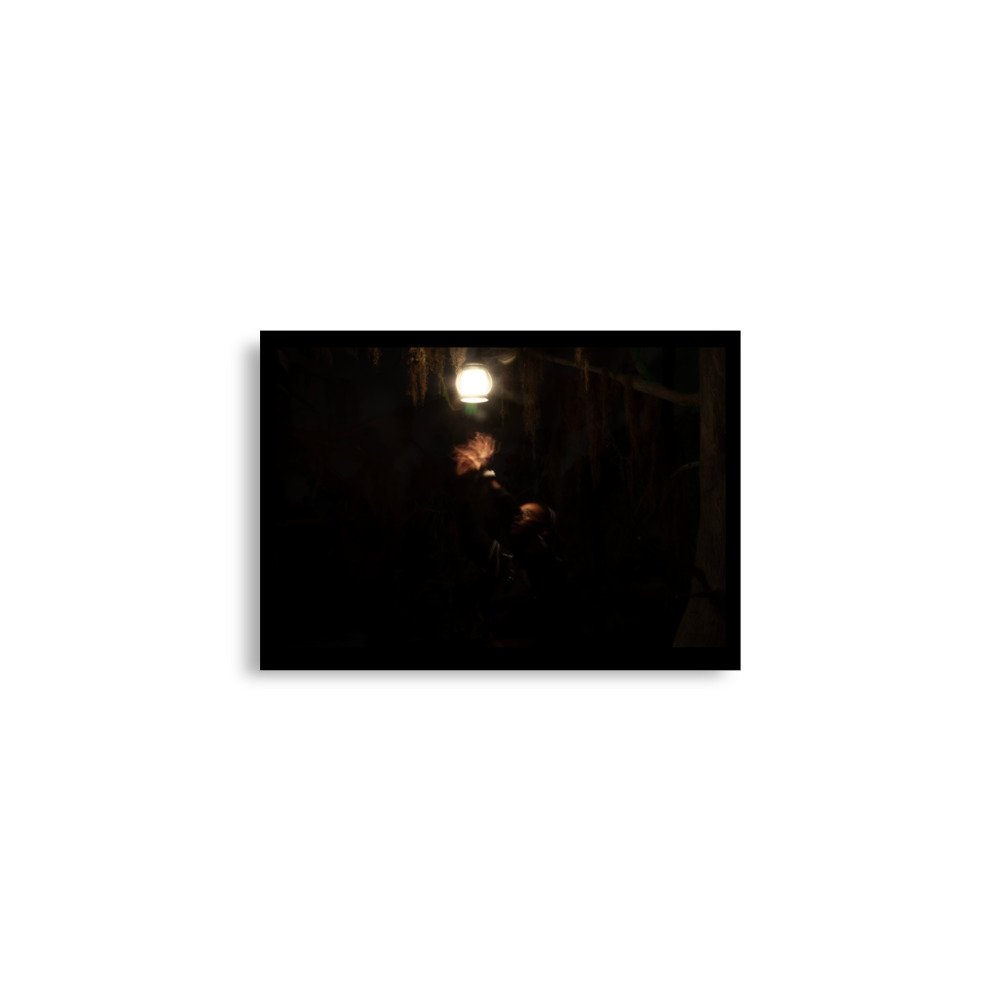 enhanced-matte-paper-poster-(in)-a2-(16.5x23.3)-front-6671b53b5dbc8.jpg