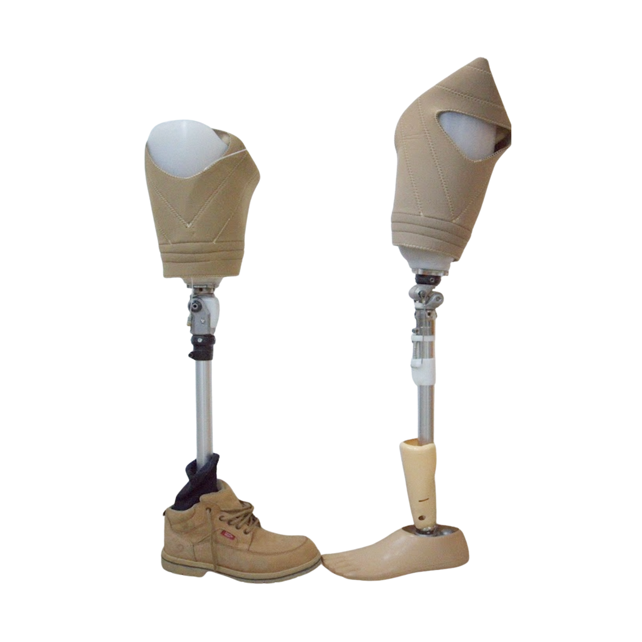 Transfemoral Prosthesis