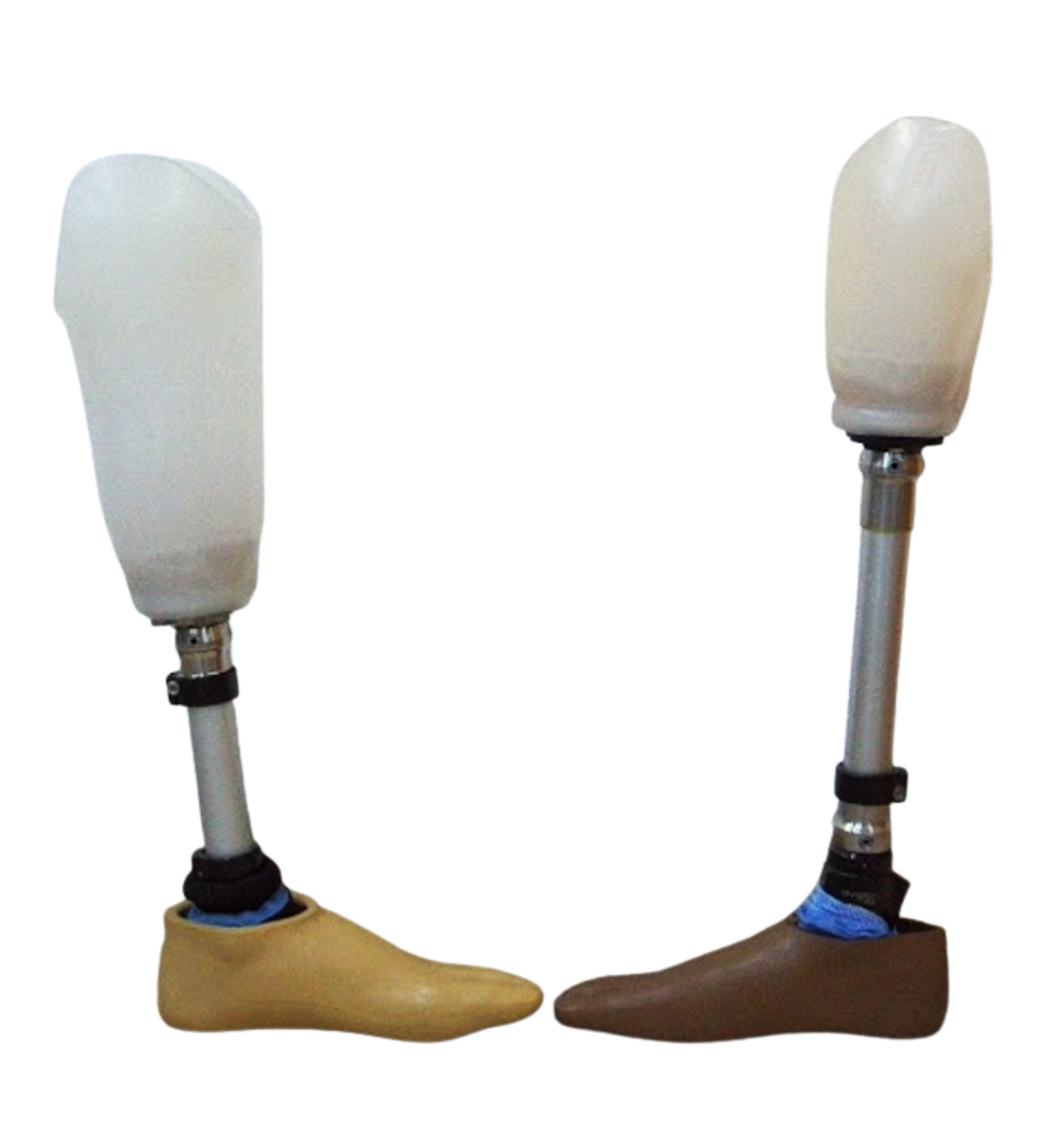 Transtibial Prosthesis