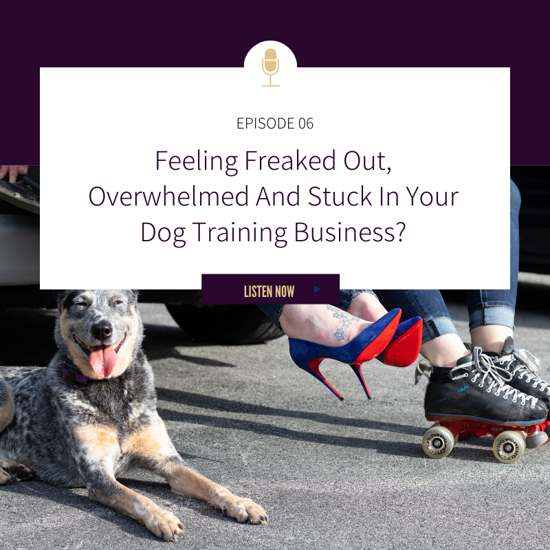 Episode 06: Feeling Freaked Out, Overwhelmed and Stuck In Your Dog Training Business?