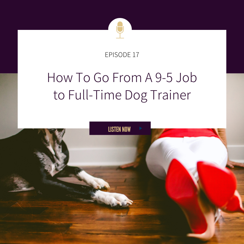 Episode 17: How To Go From A 9-5 Job to Full-Time Dog Trainer