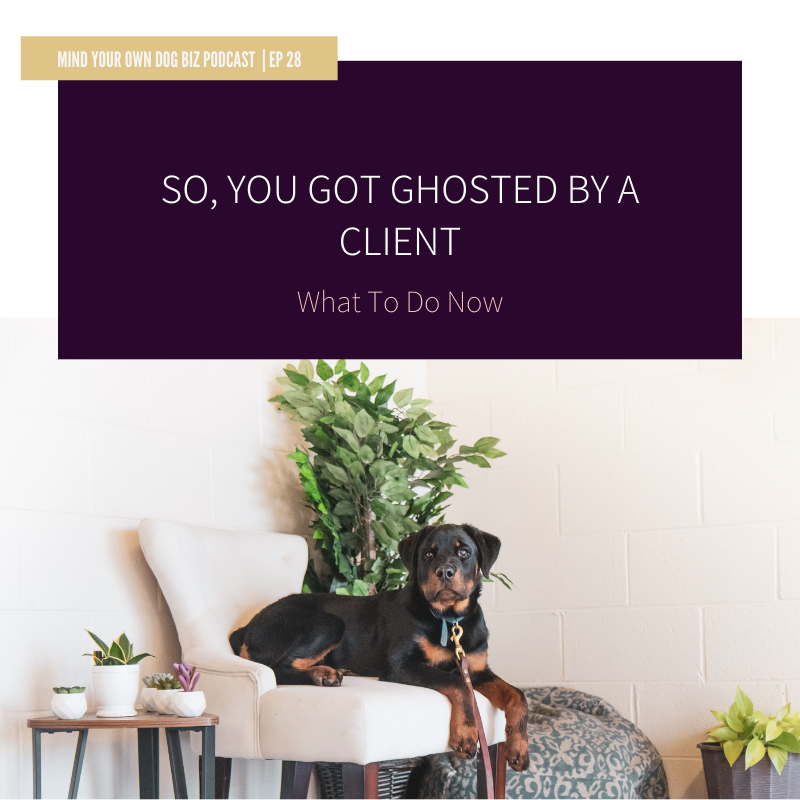 Episode 28: So, You Got Ghosted In Your Dog Business - What To Do