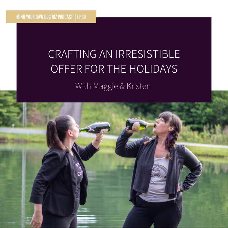 episode 30: Crafting An Irresistible Offer For The Holidays