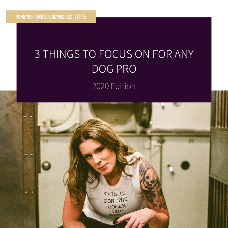 Episode 35: The 3 Things To Focus On For Any Dog Pro In 2020