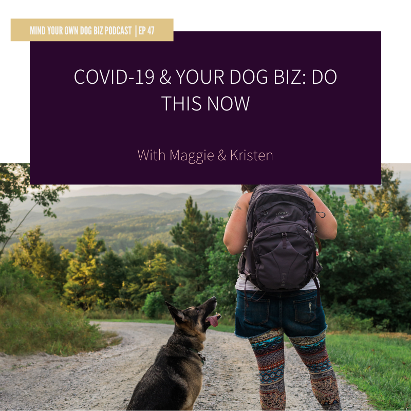 Episode 47: COVID-19 &amp; Your Dog Biz: DO THIS NOW