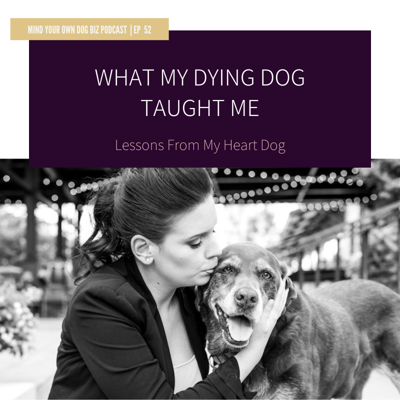 episode 52: What My Dying Dog Taught Me - Lessons From My Heart Dog