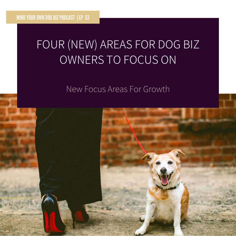 Episode 53: Four (new) Areas For Dog Biz Owners To Focus On