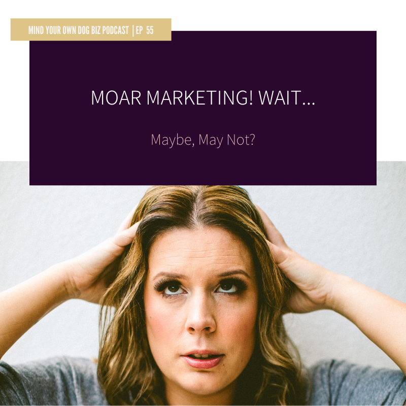 Episode 55: MOAR Marketing! Wait...Maybe, Maybe not?