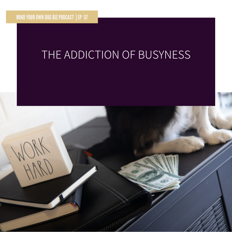 episode 57: The Addiction Of Busyness
