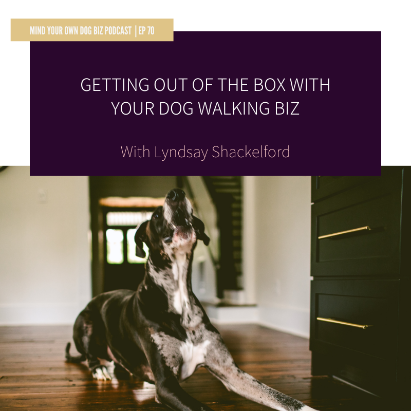 Episode 70: Getting Out Of The Box With Your Dog Walking Biz: Lyndsay Shackelford