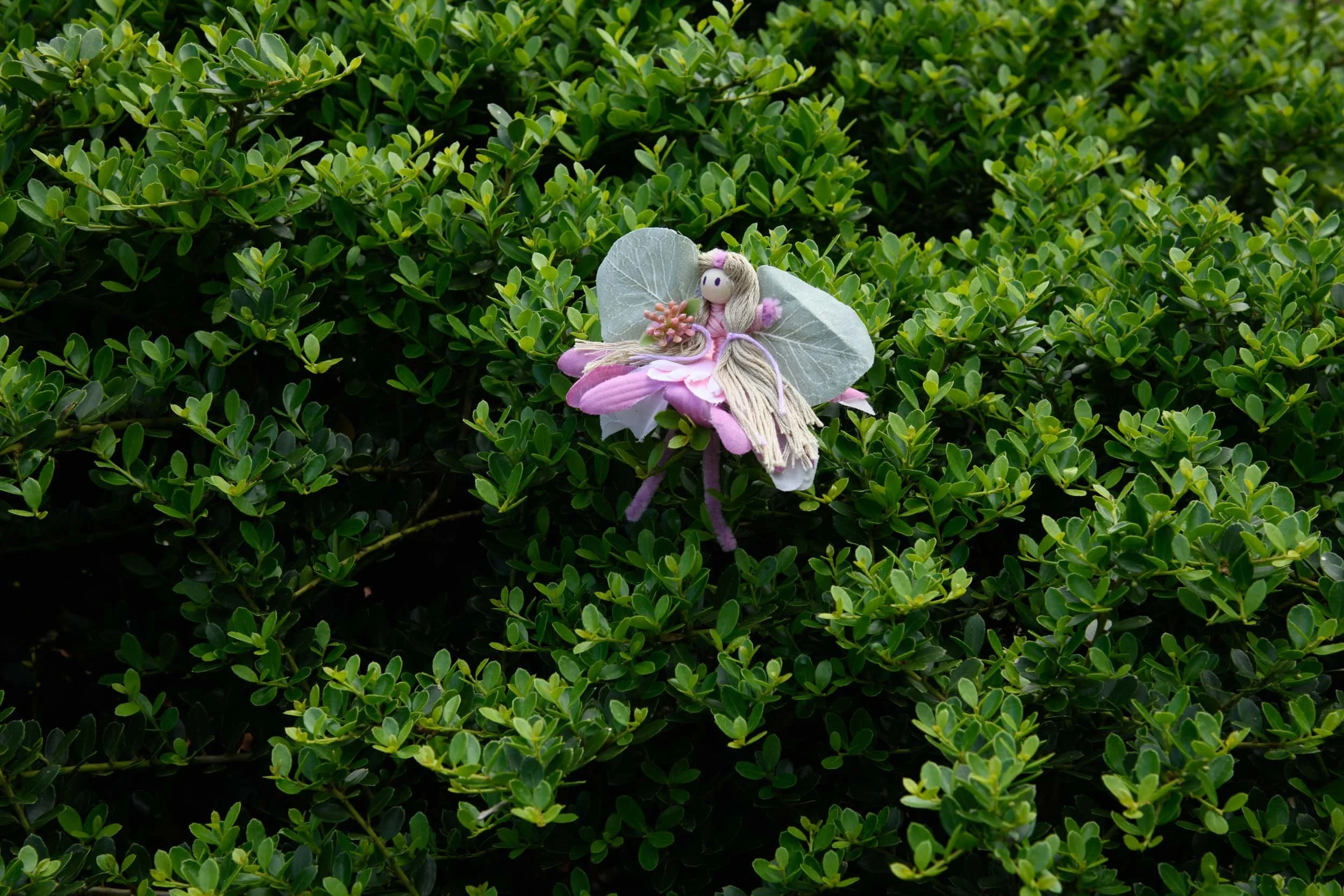 DSC_3949.jpg