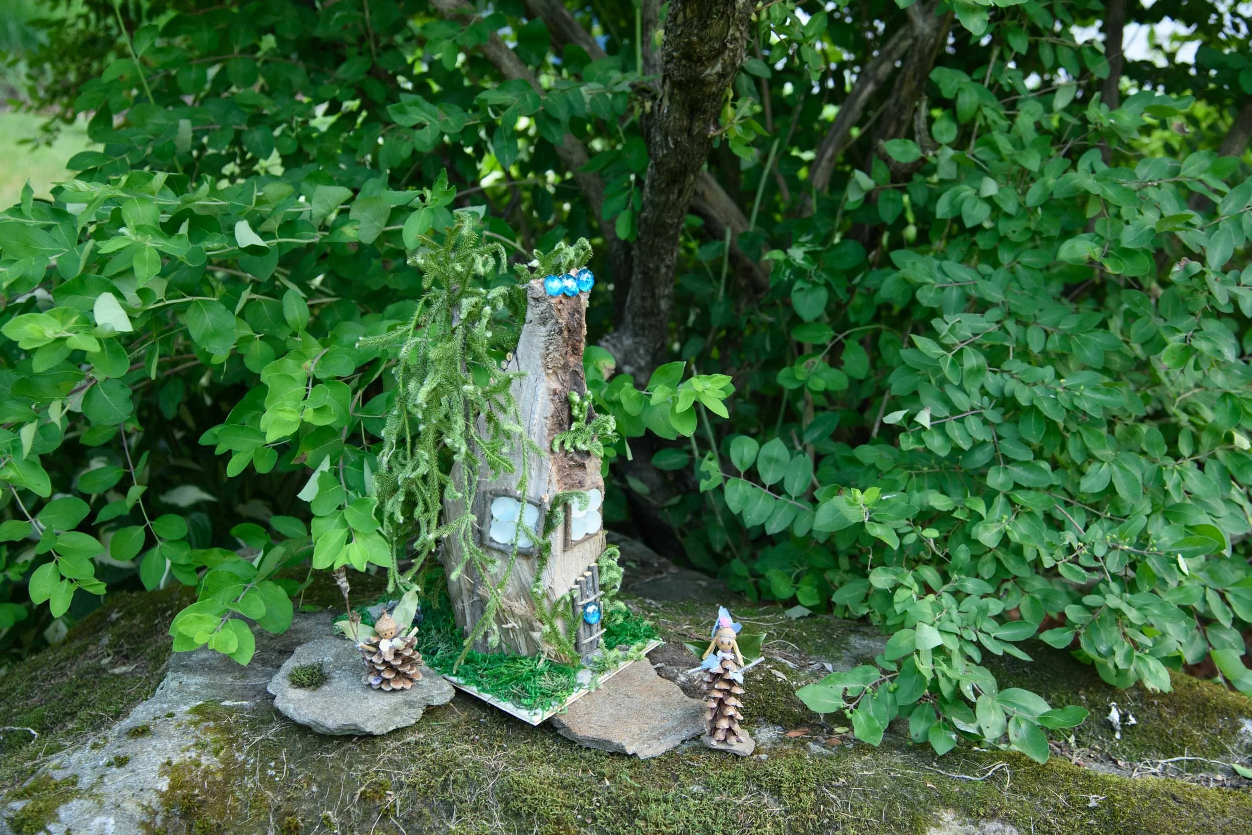 DSC_3983.jpg