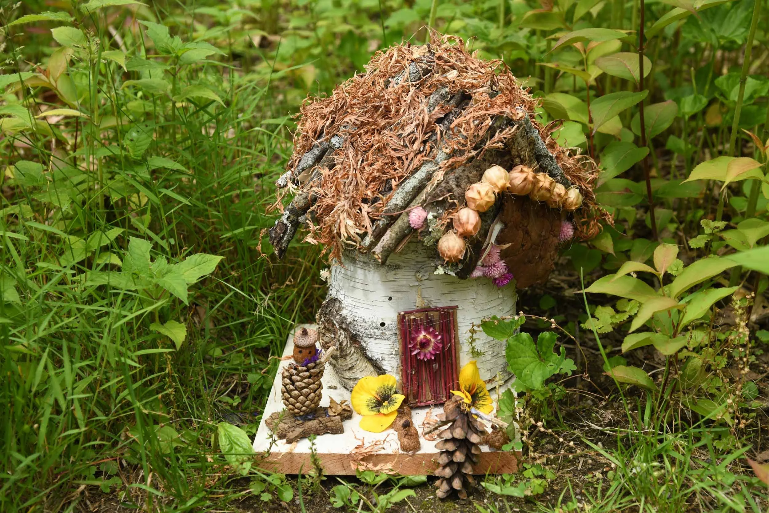 DSC_4196.jpg