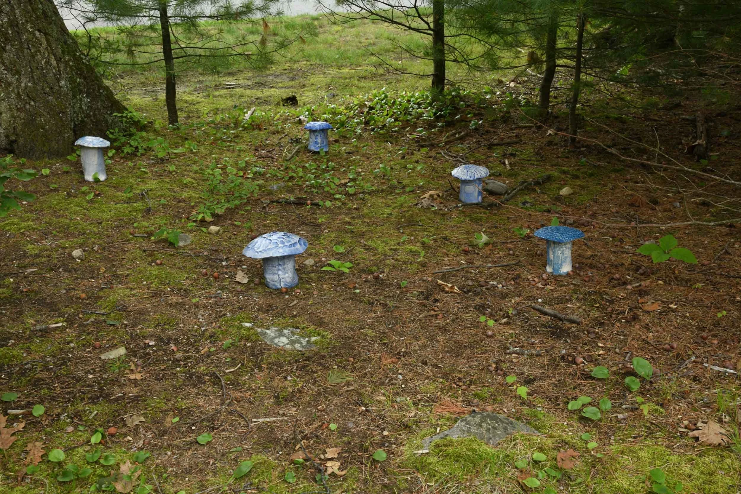 DSC_4227.jpg