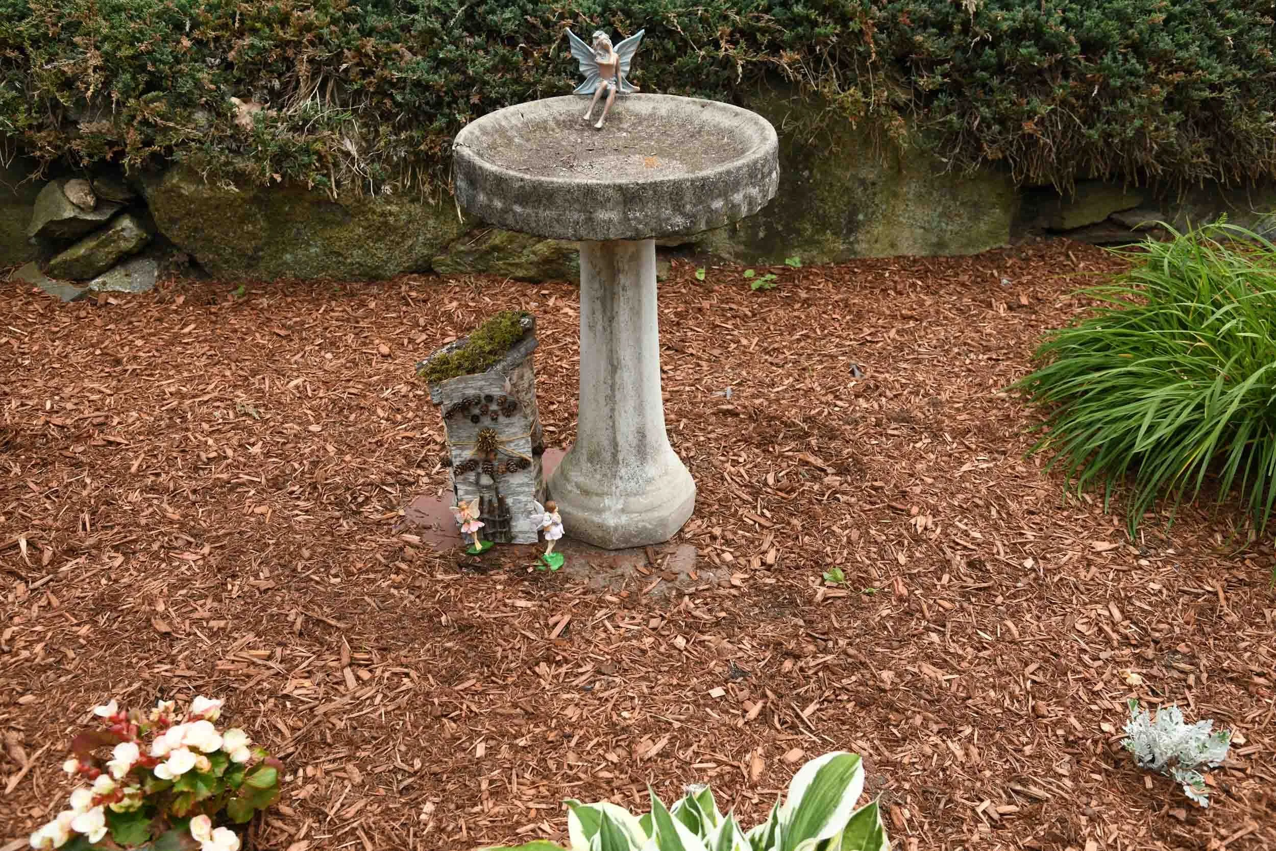 DSC_4163.jpg