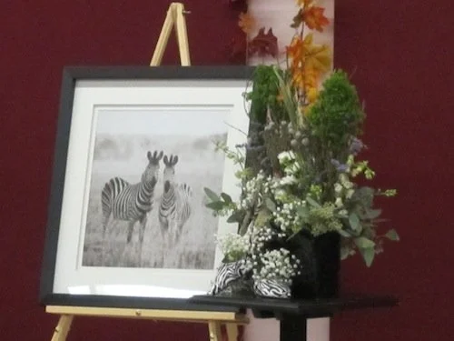 Member Arrangement-Zebra.JPG