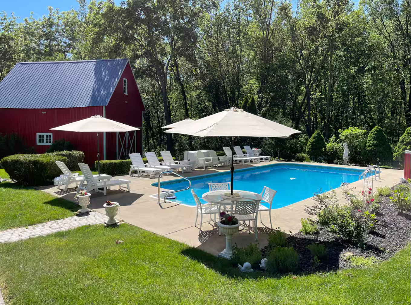 A backyard with a clear blue rectangular swimming pool surrounded by white lounge chairs, umbrellas, and garden decorations, with a red barn and trees in the background.