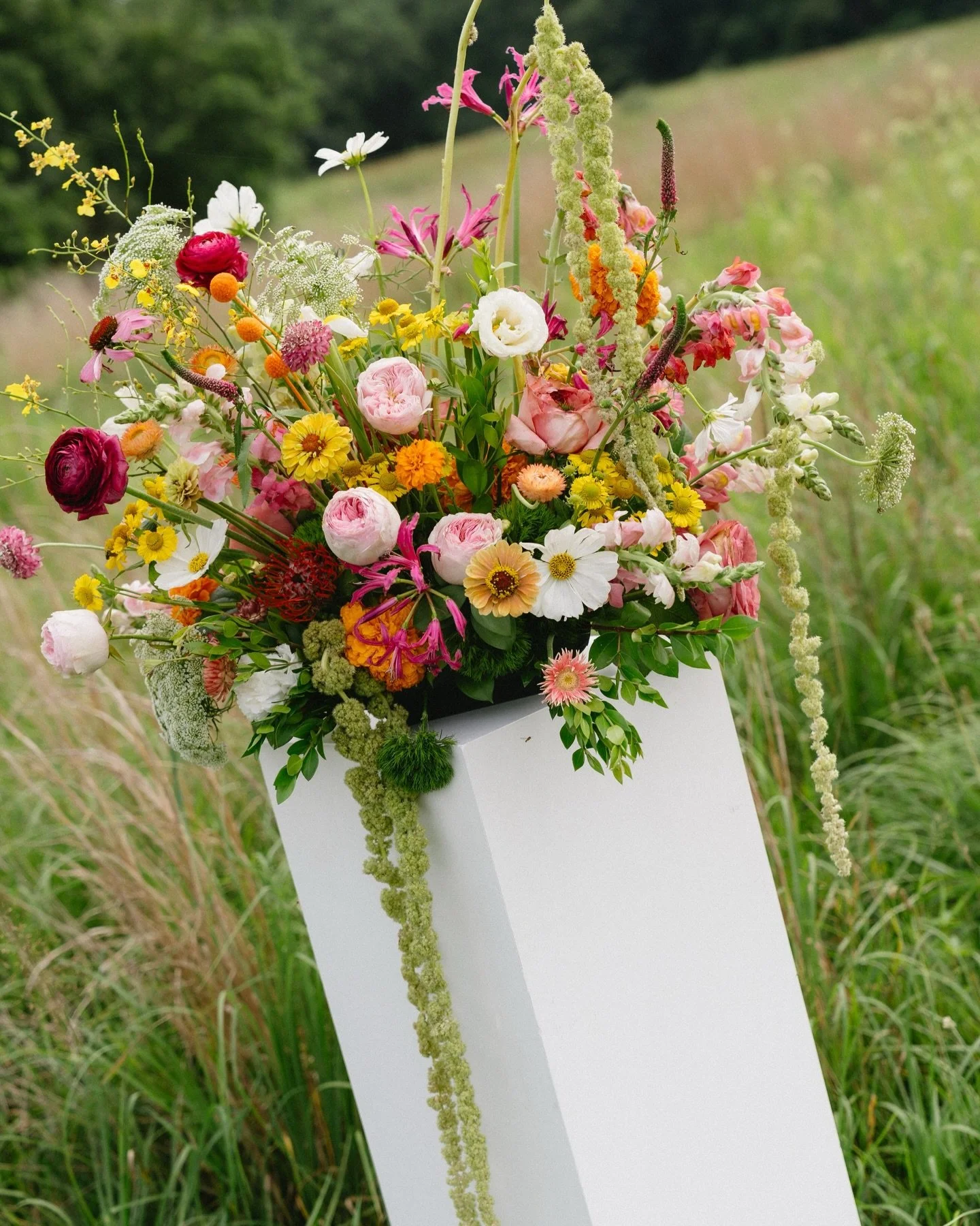 Joy-filled portraits from Ben and Emma&rsquo;s July wedding @hazelwoodweddings 🌅