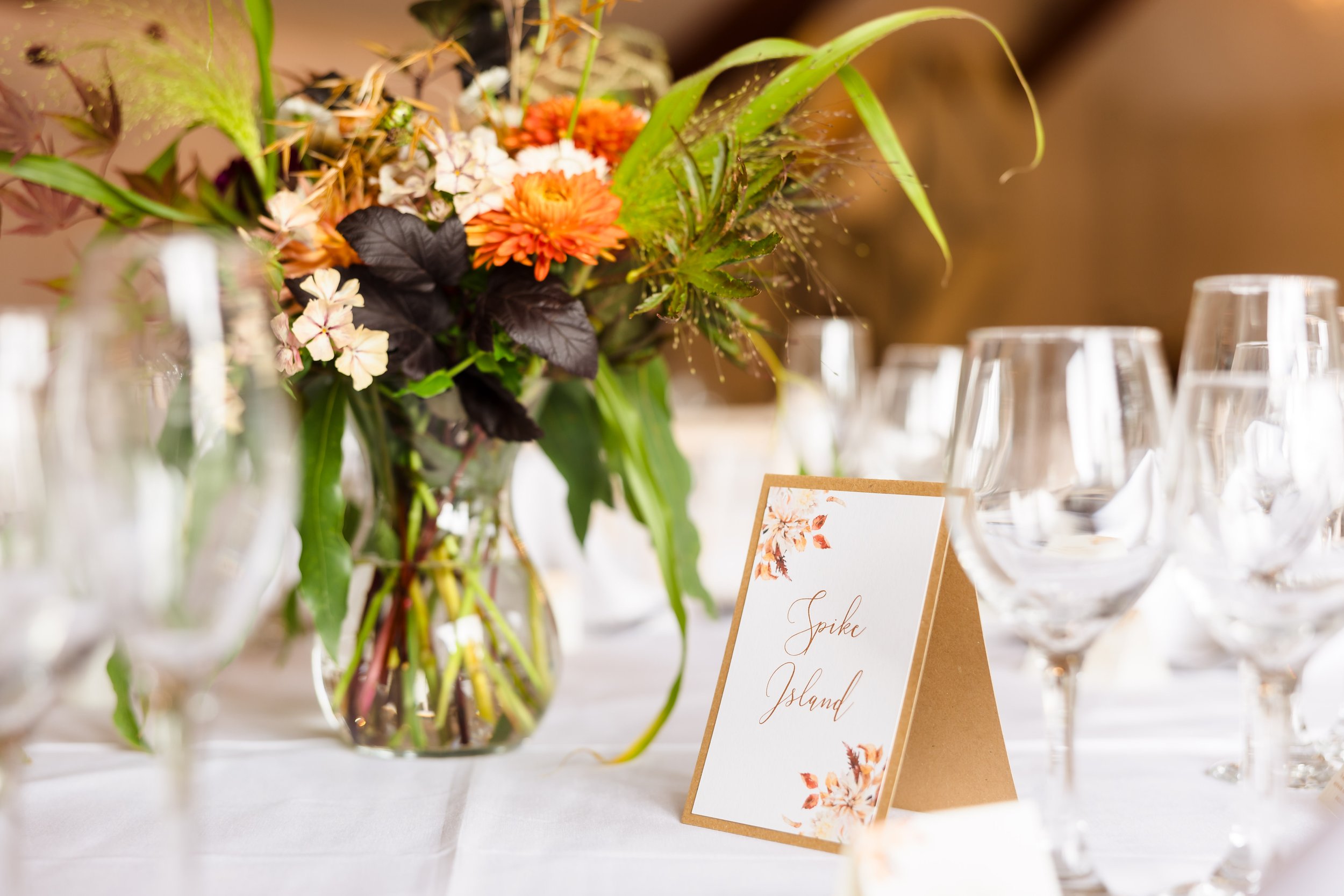 Alice+Craig-0354.jpg