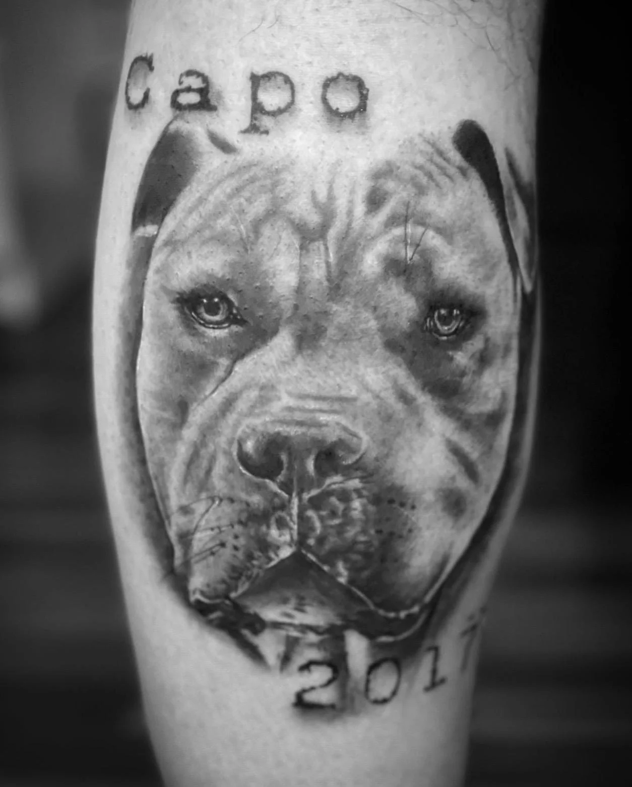 WhatsApp Image 2026-01-08 at 16.45.30 (3).jpeg