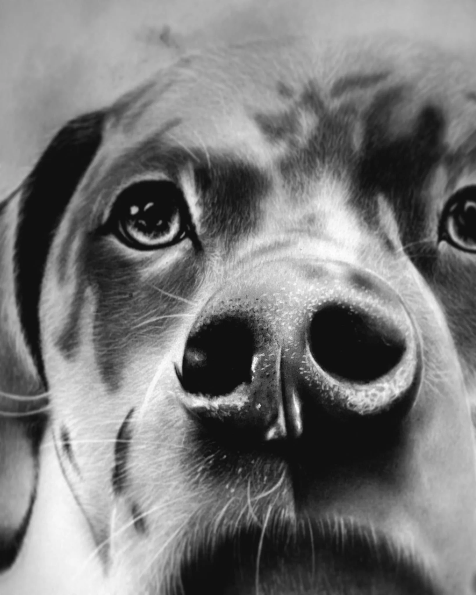 WhatsApp Image 2026-01-08 at 16.34.27.jpeg