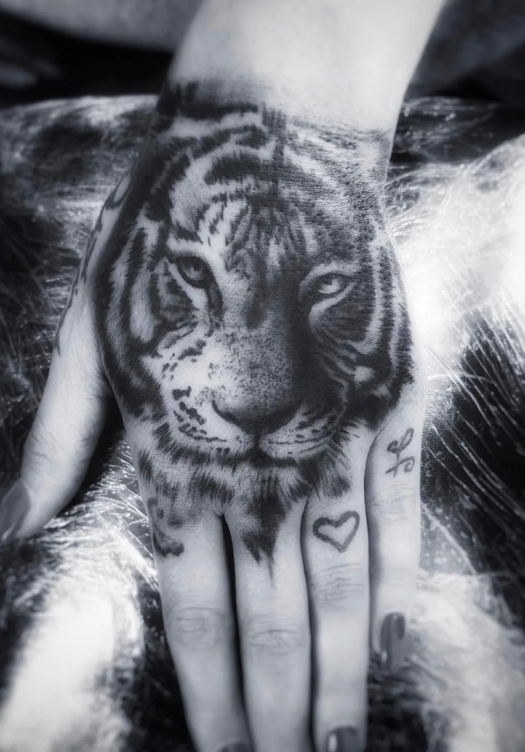 WhatsApp Image 2026-01-08 at 16.45.30 (1).jpeg