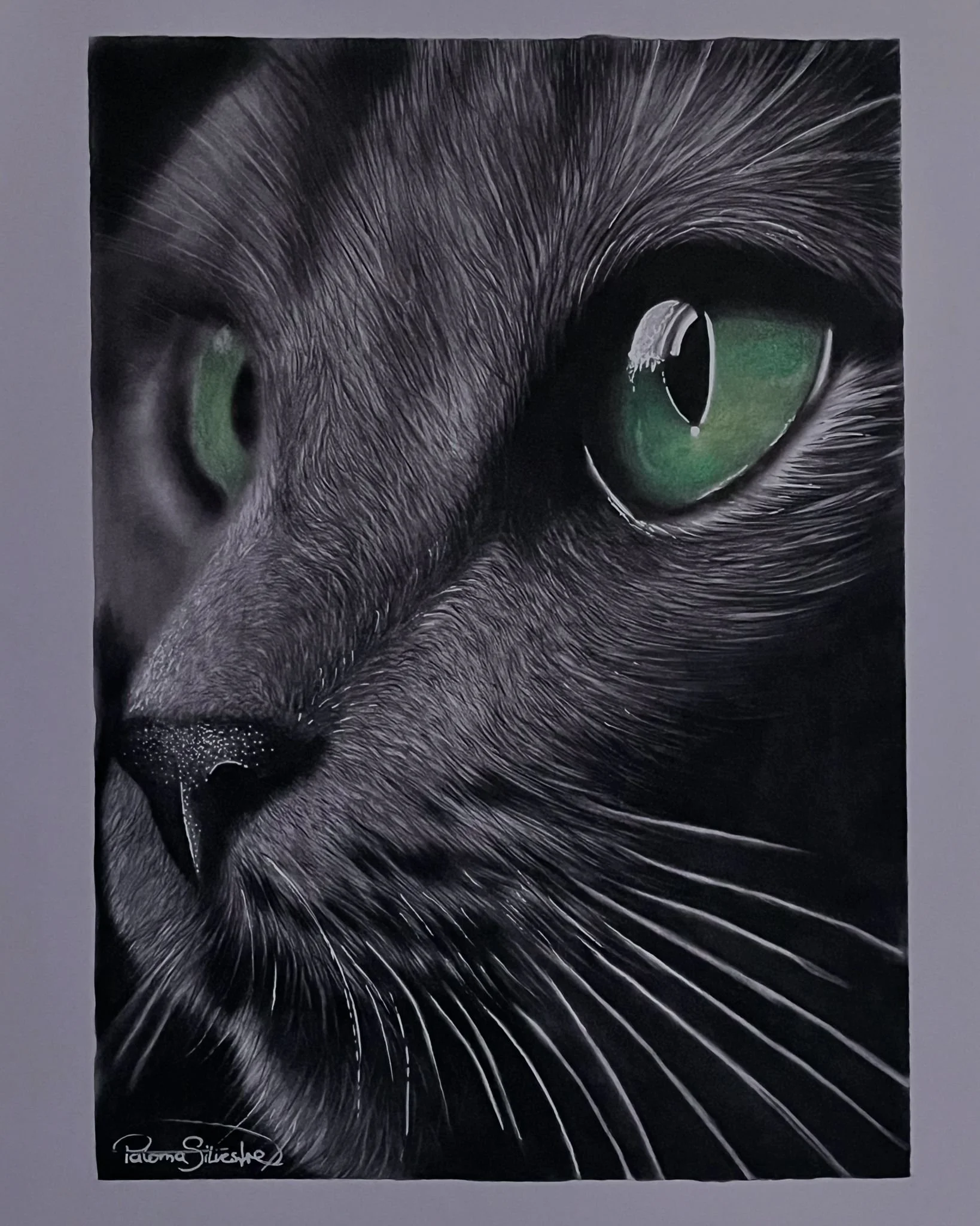 WhatsApp Image 2026-01-08 at 16.34.12.jpeg