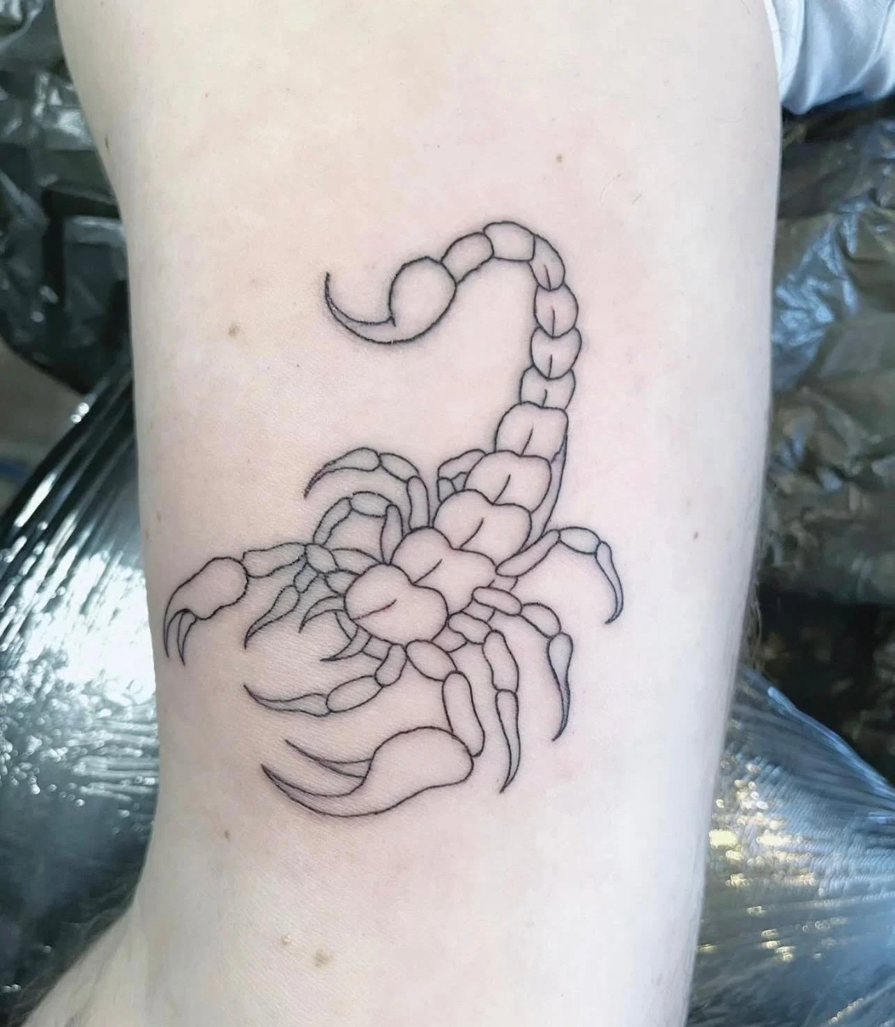 WhatsApp Image 2026-01-08 at 16.45.27.jpeg