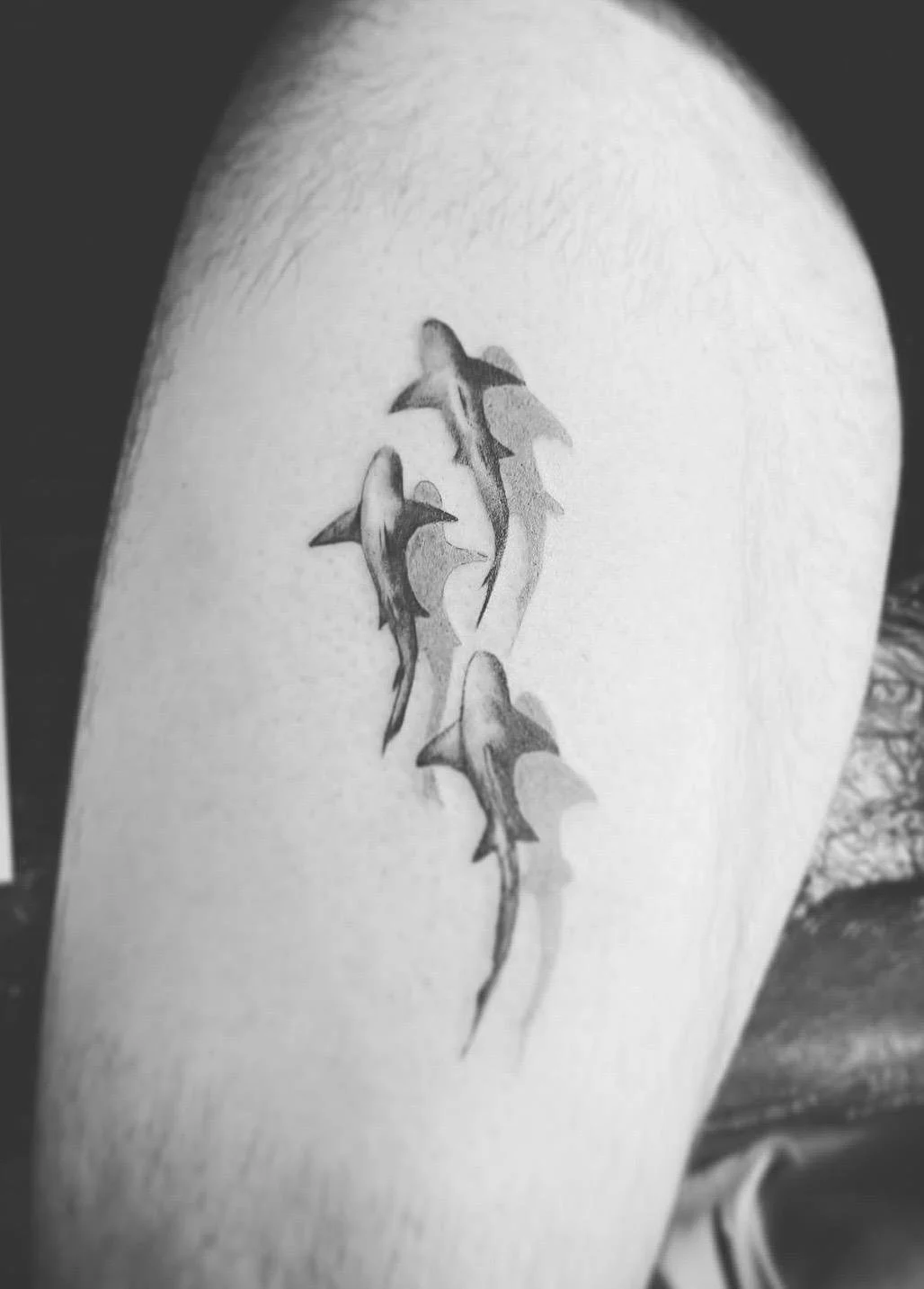 WhatsApp Image 2026-01-08 at 16.45.29 (2).jpeg