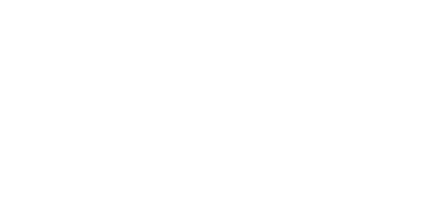 AYA Foundation