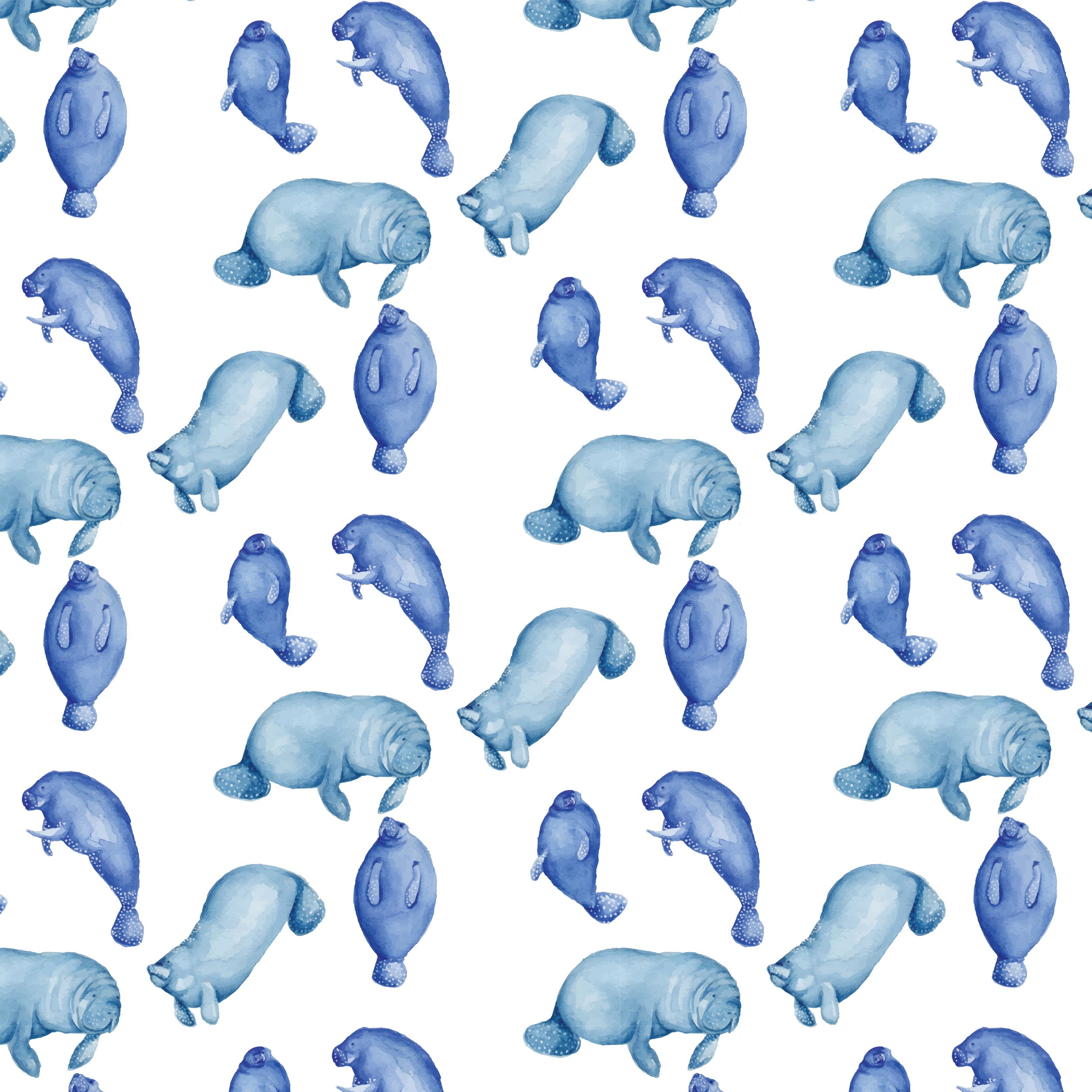 large manatee.jpg