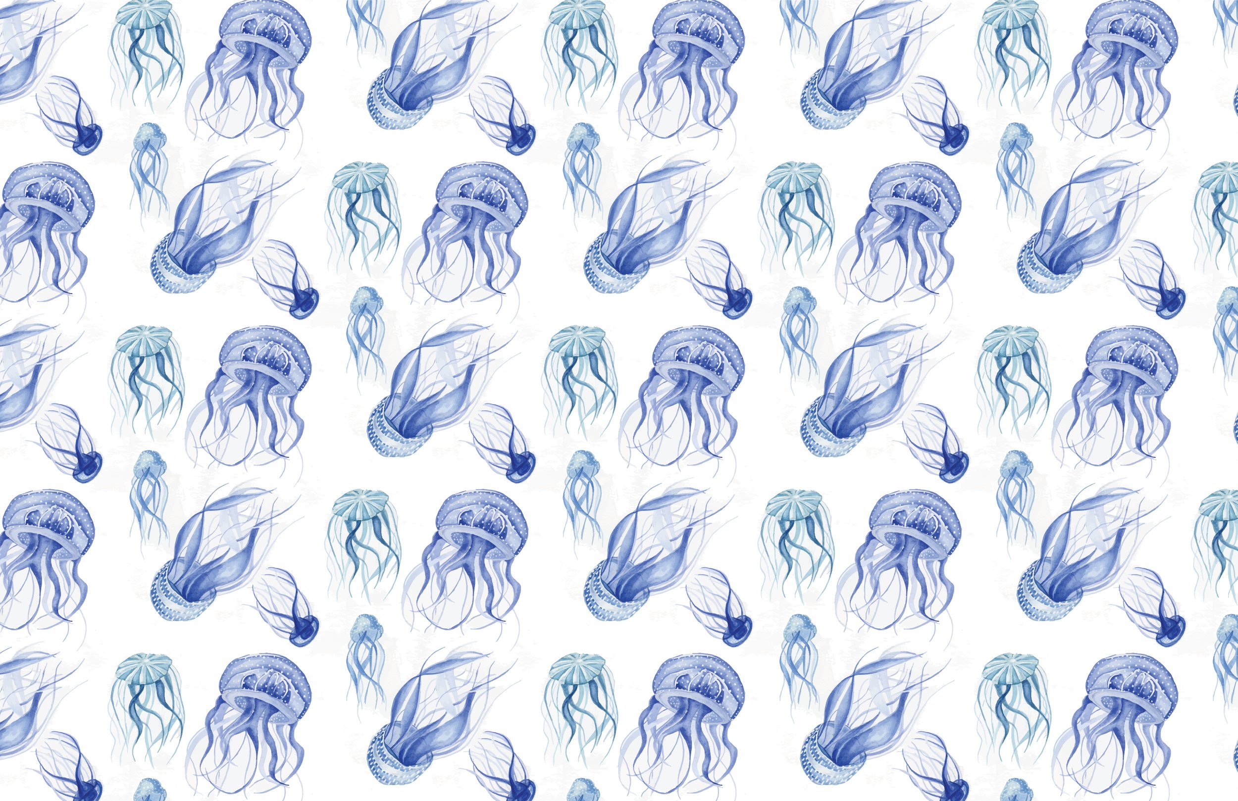 jelly.jpg