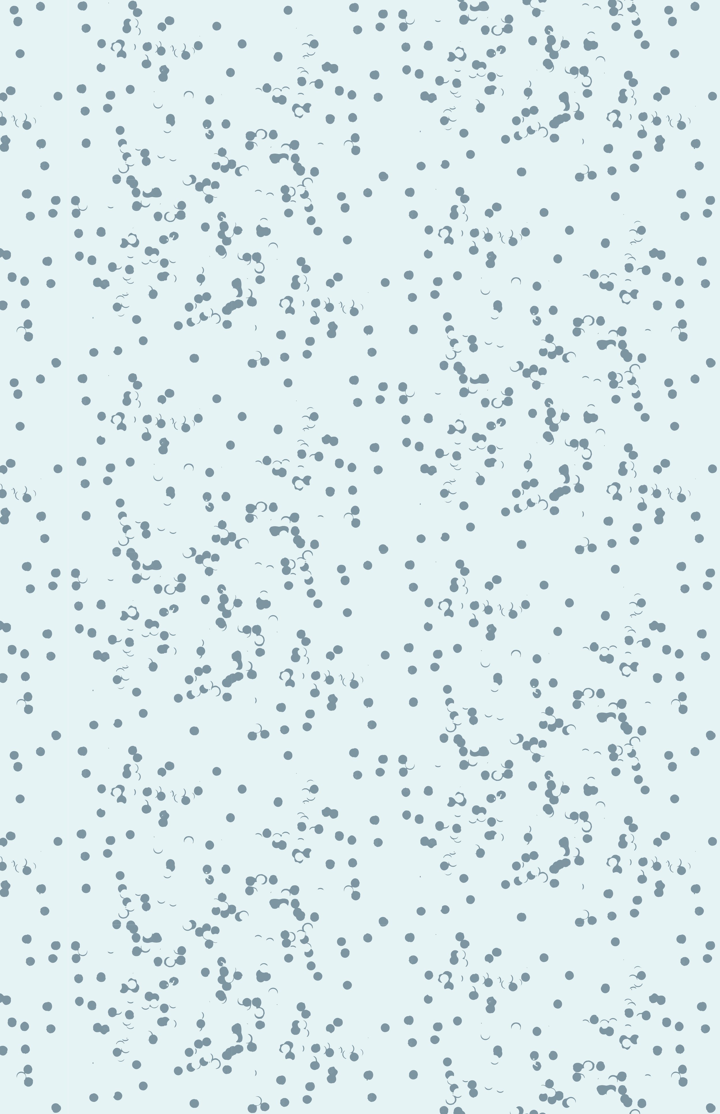 printsp1f1-4.jpg