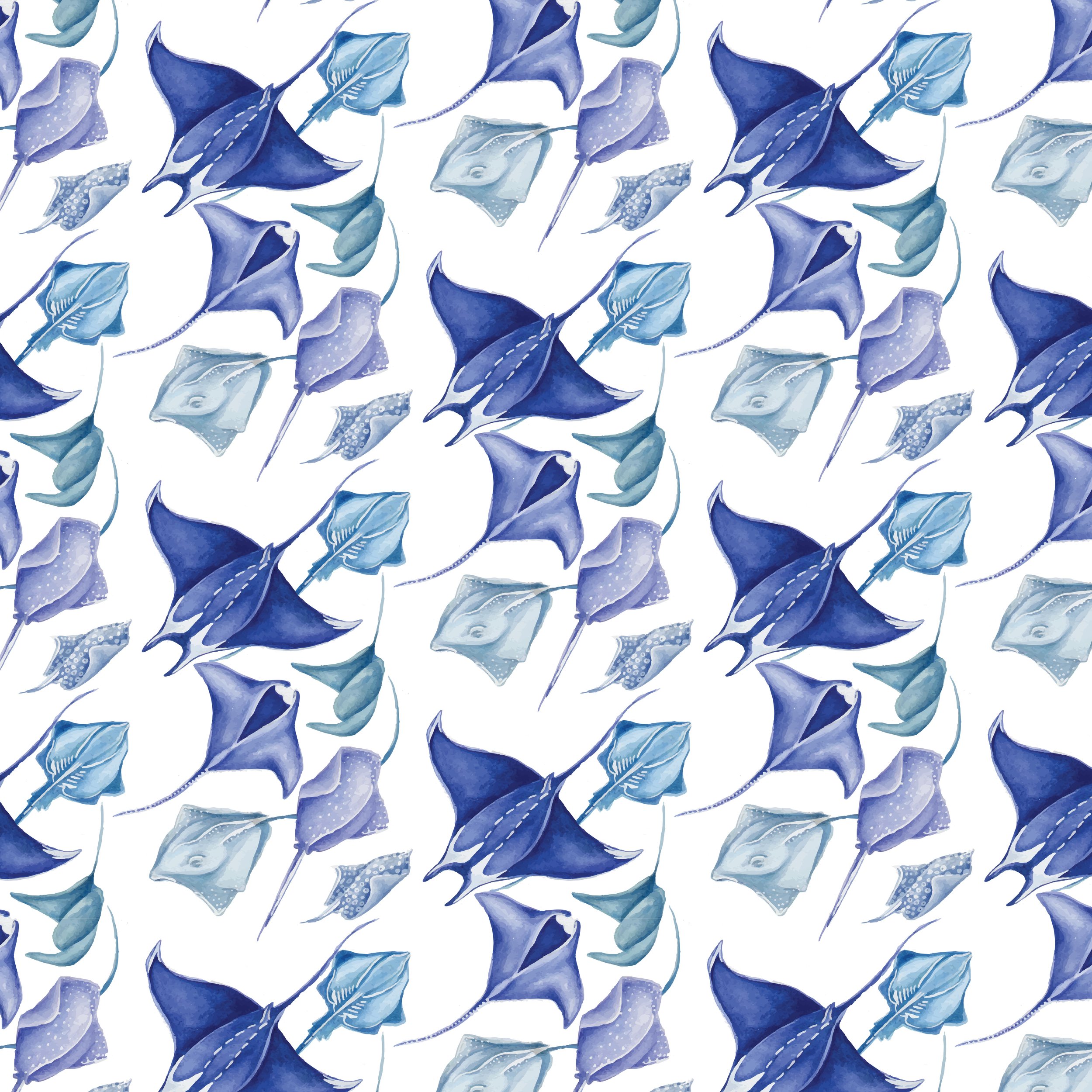large stingrays.jpg