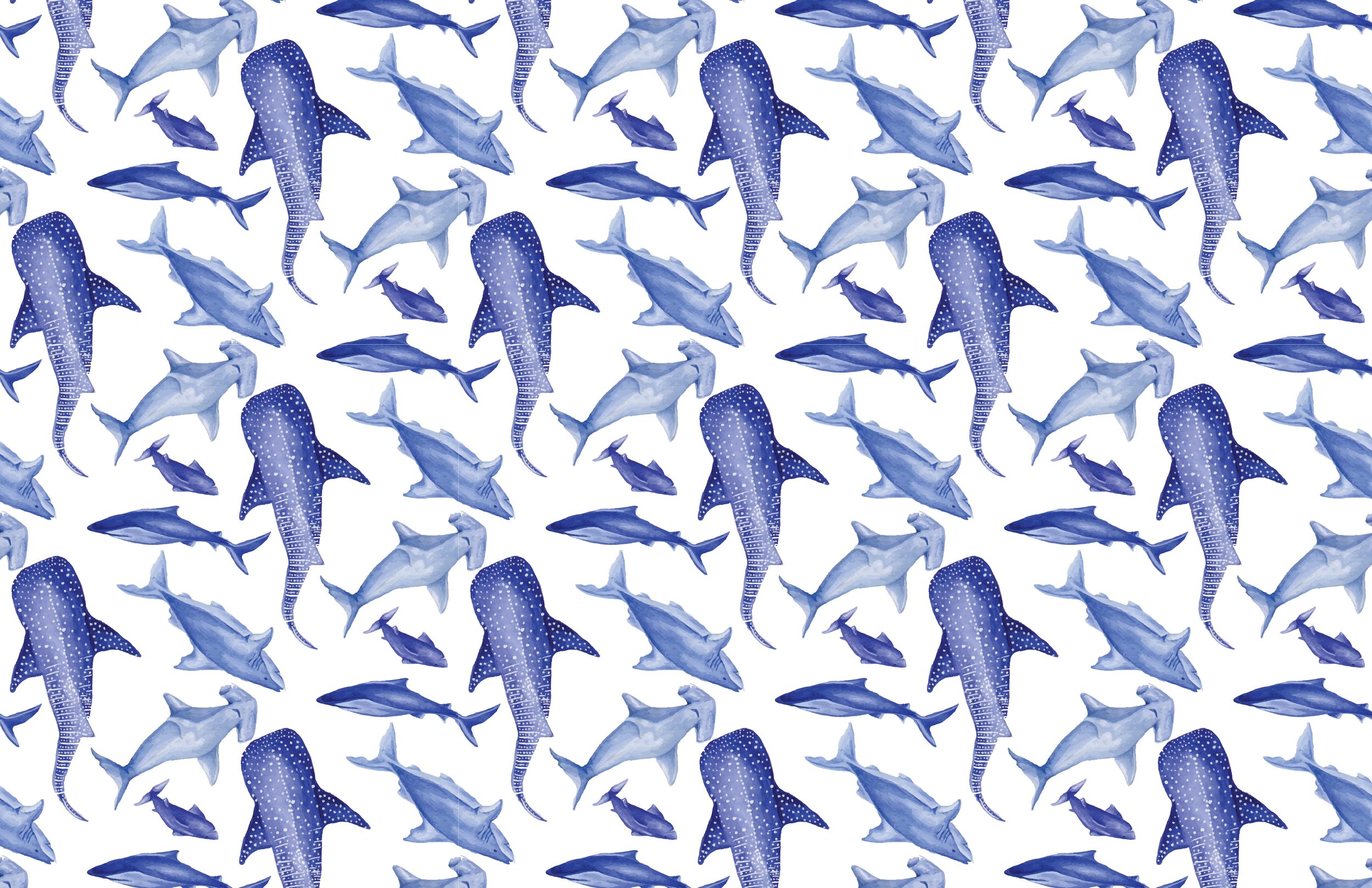shark print.jpg