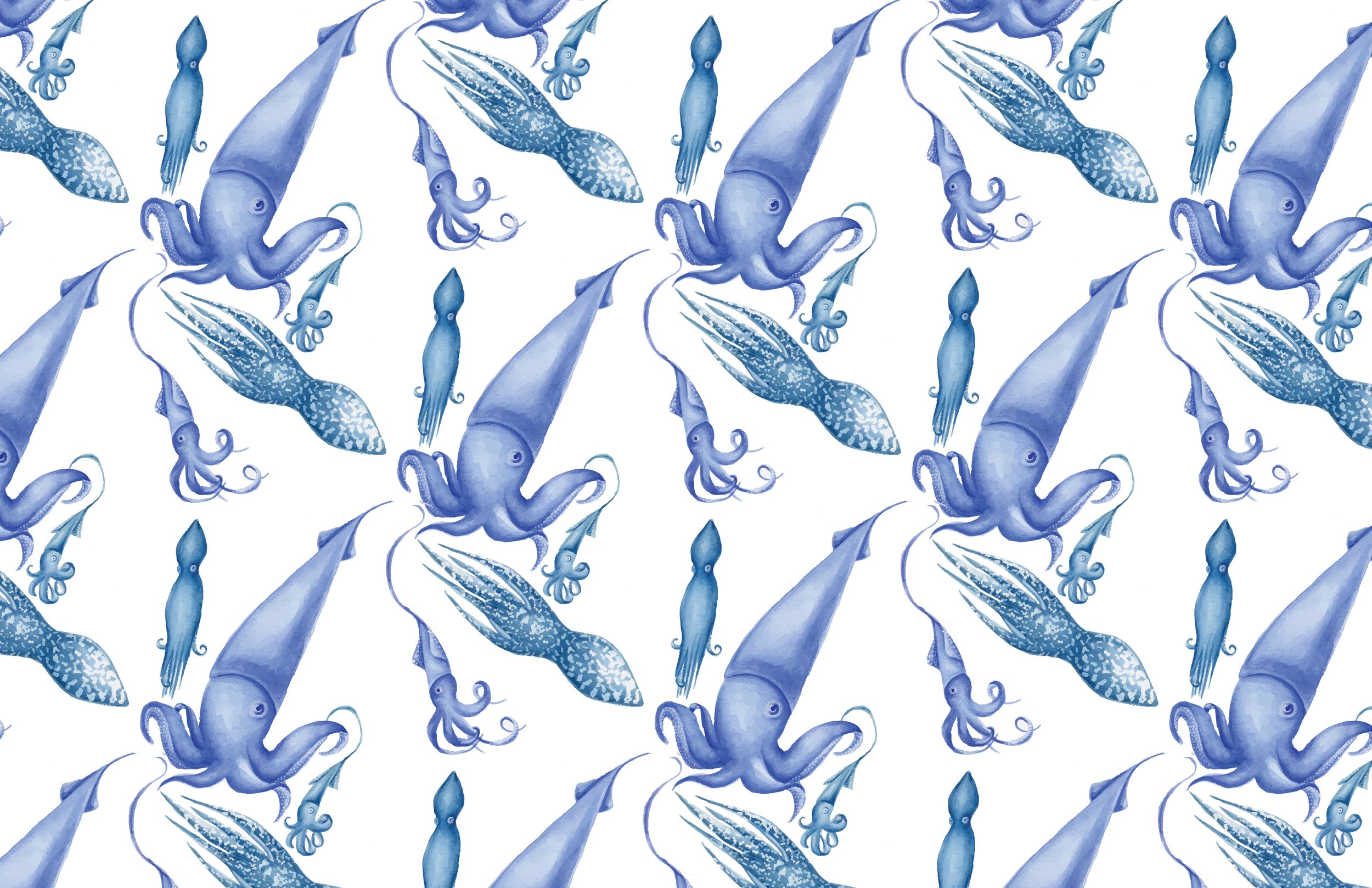 squid.jpg